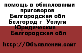 помощь в обжаловании приговоров - Белгородская обл., Белгород г. Услуги » Юридические   . Белгородская обл.